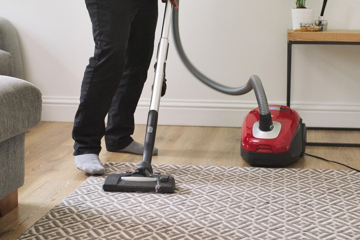 Deep Cat Urine Carpet Cleaning Roseville for Odor Removal